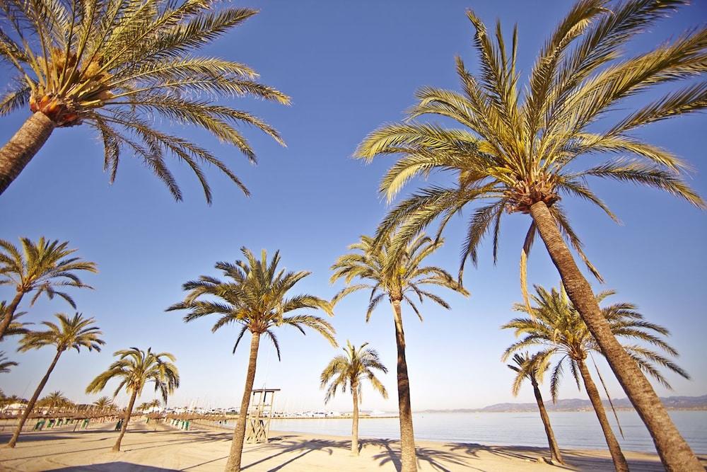 ホテル Sahara Nubia Gobi Ses Cadenes エクステリア 写真 Palma de Mallorca